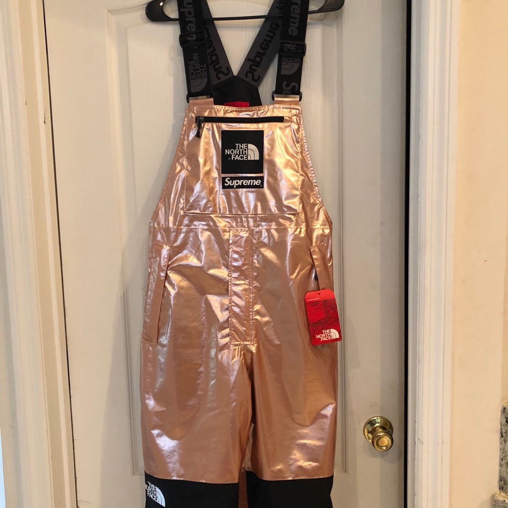 Supreme x The North Face Metallic Mountain Bib M
